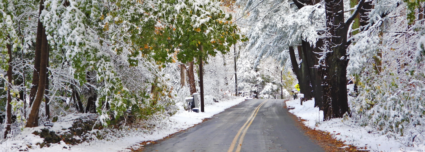 Screenshot 2020-11-22 16.06.24 Photo of snow on fall leaves