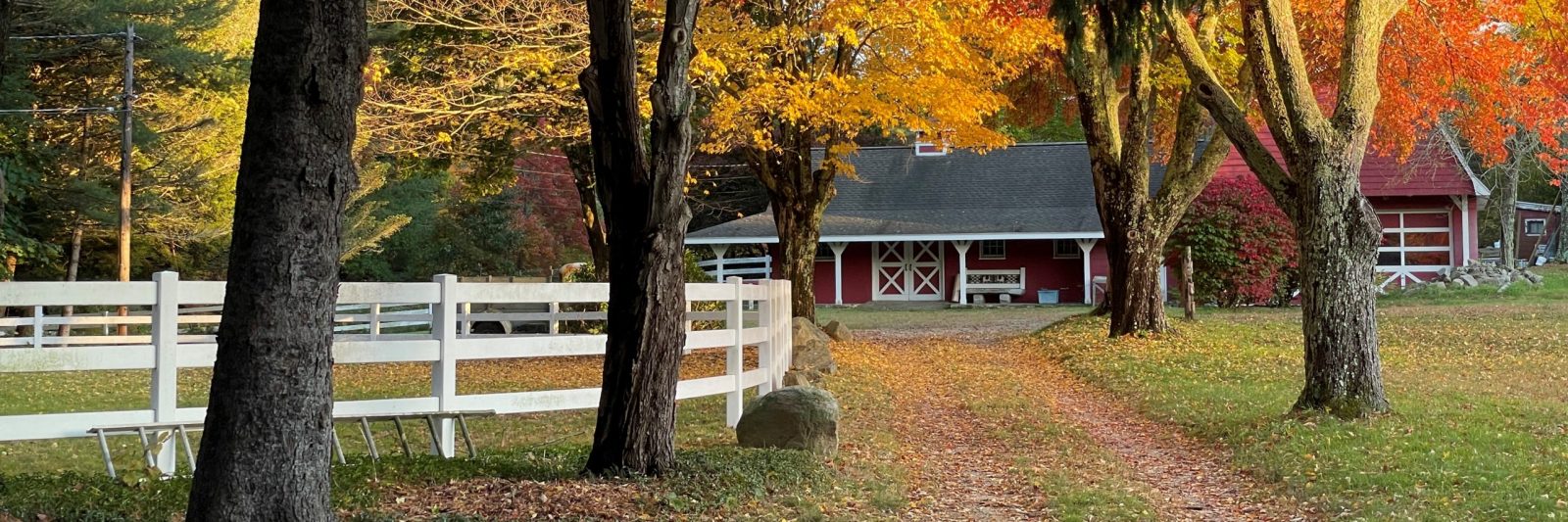 Fall New England Scene with Barn